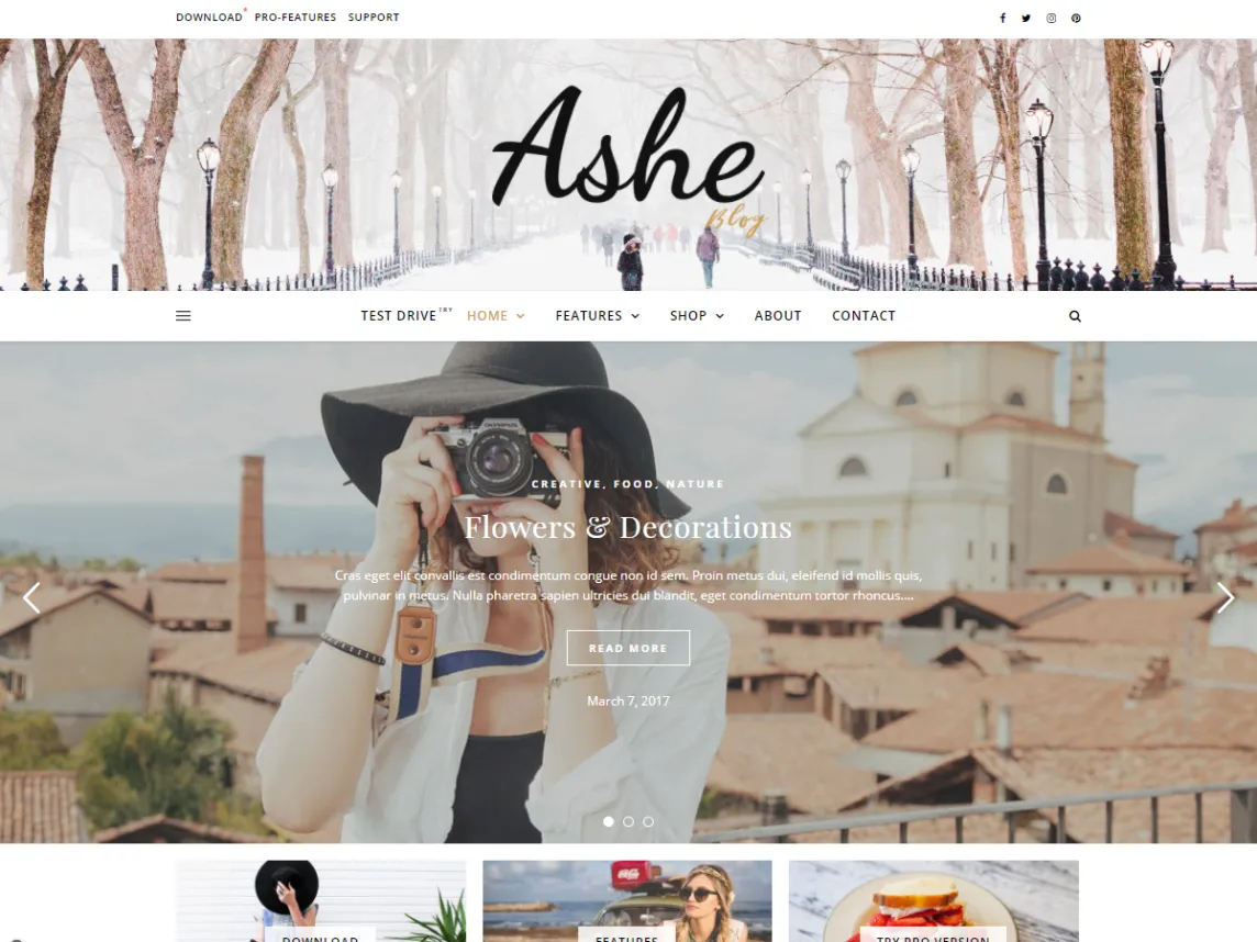 Ashe - Fastest Personal Blog WordPress themes