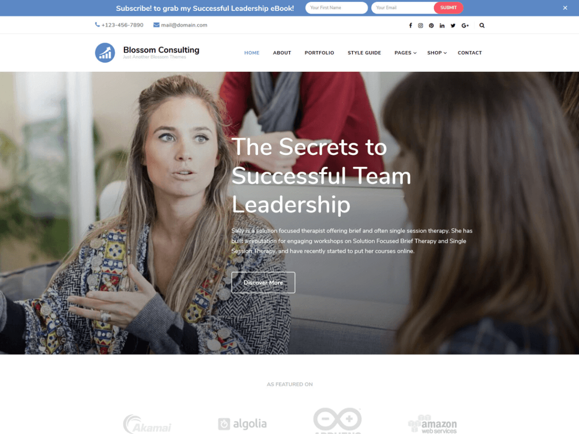 Blossom Consulting - Best Free Consulting WordPress Themes